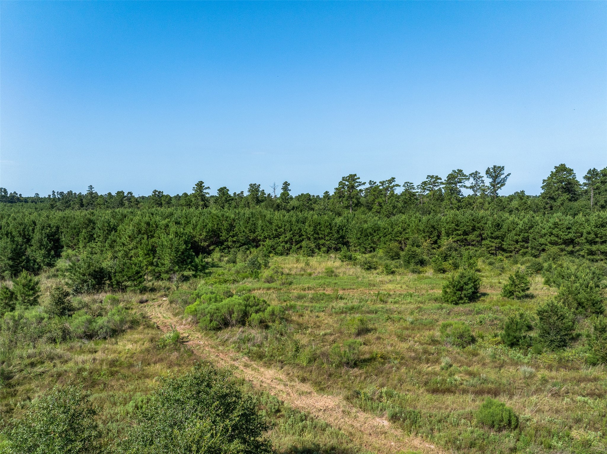 109 Old Sign Road Midway, TX 75852 - Photo 7 of 33 a view of a field of grass and trees