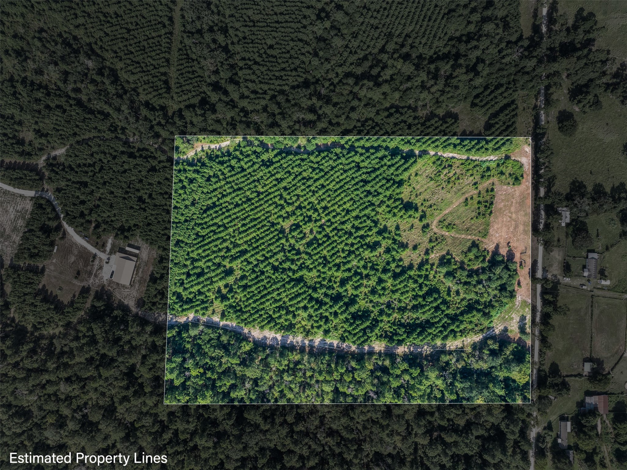 109 Old Sign Road Midway, TX 75852 - Photo 9 of 33 a view of a garden