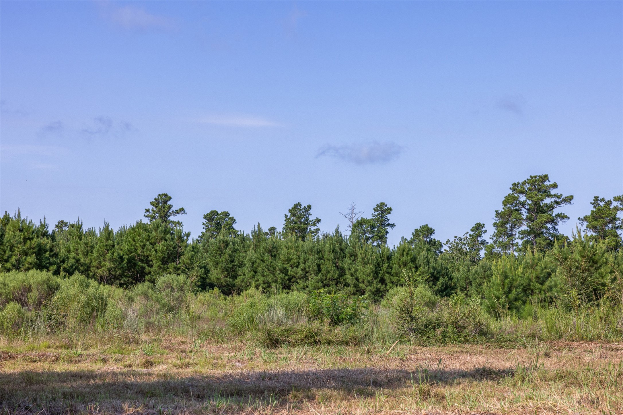 109 Old Sign Road Midway, TX 75852 - Photo 10 of 33 a view of a yard