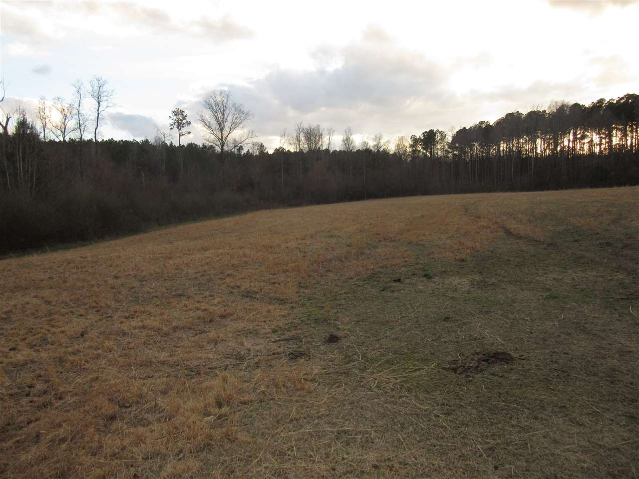 3116 Richardson Road Zebulon, NC 27597 - Photo 4 of 18 Photo 4