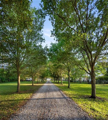 730 Copal Street Mandeville, LA 70448 - Photo 8 of 55