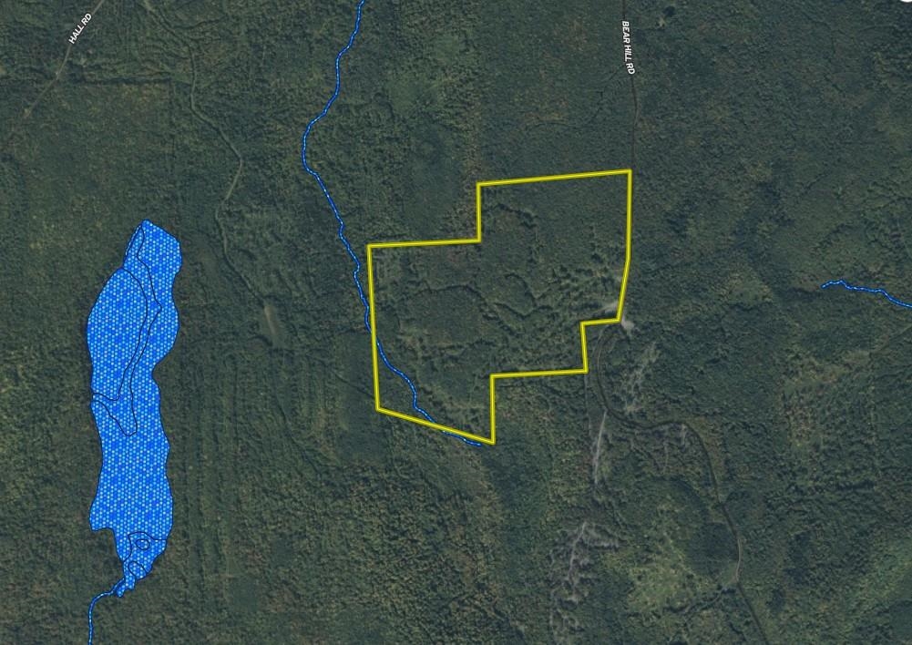 1070 Bear Hill Road Maidstone, VT 05905 - Photo 5 of 6