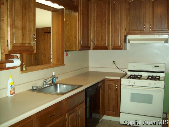46 North Fox Mill Lane Springfield, IL 62712 - Photo 5 of 11 Gallery Image 5
