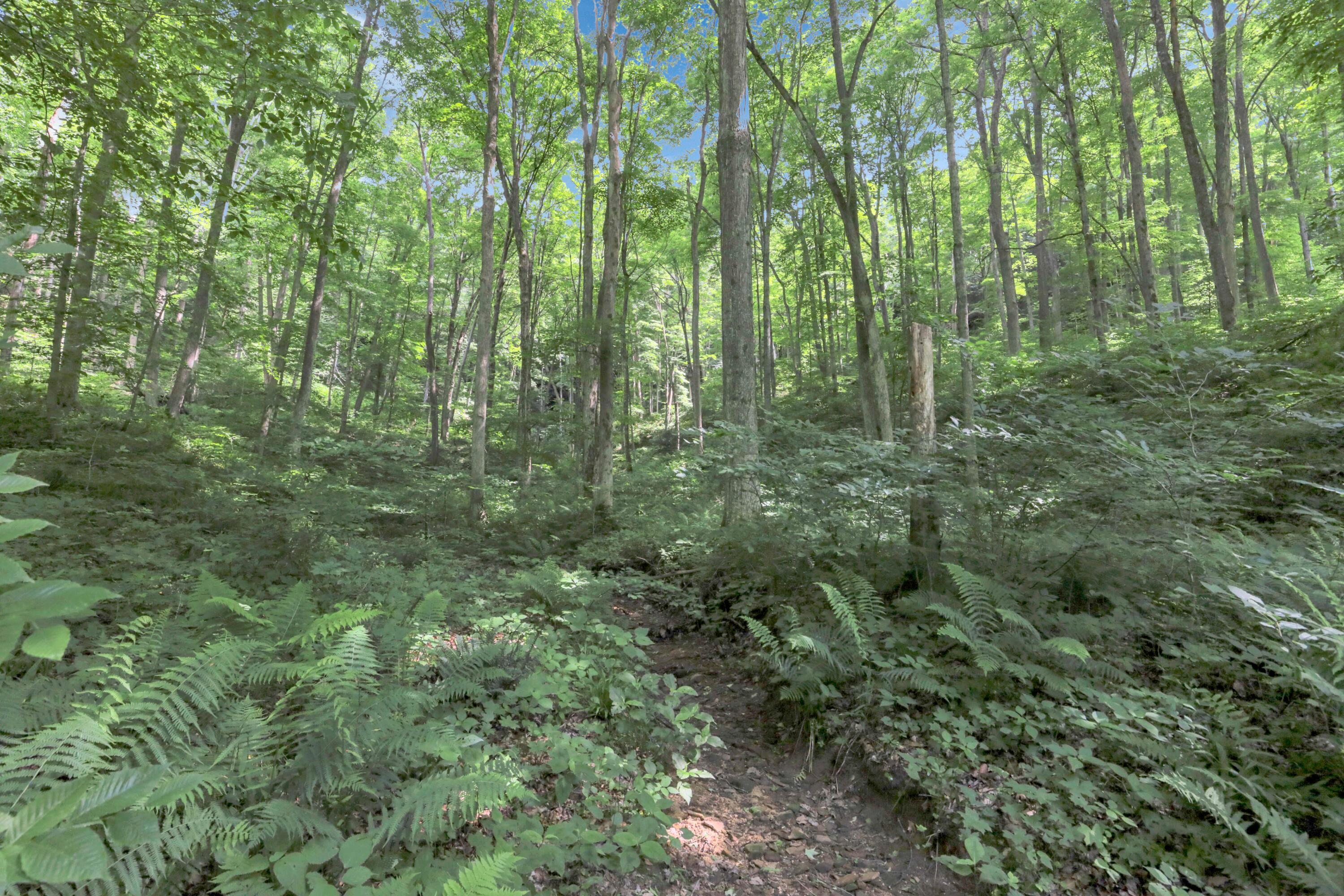 24138 Huffines Road Rockbridge, OH 43149 - Photo 54 of 74 52-print-IMG_8203