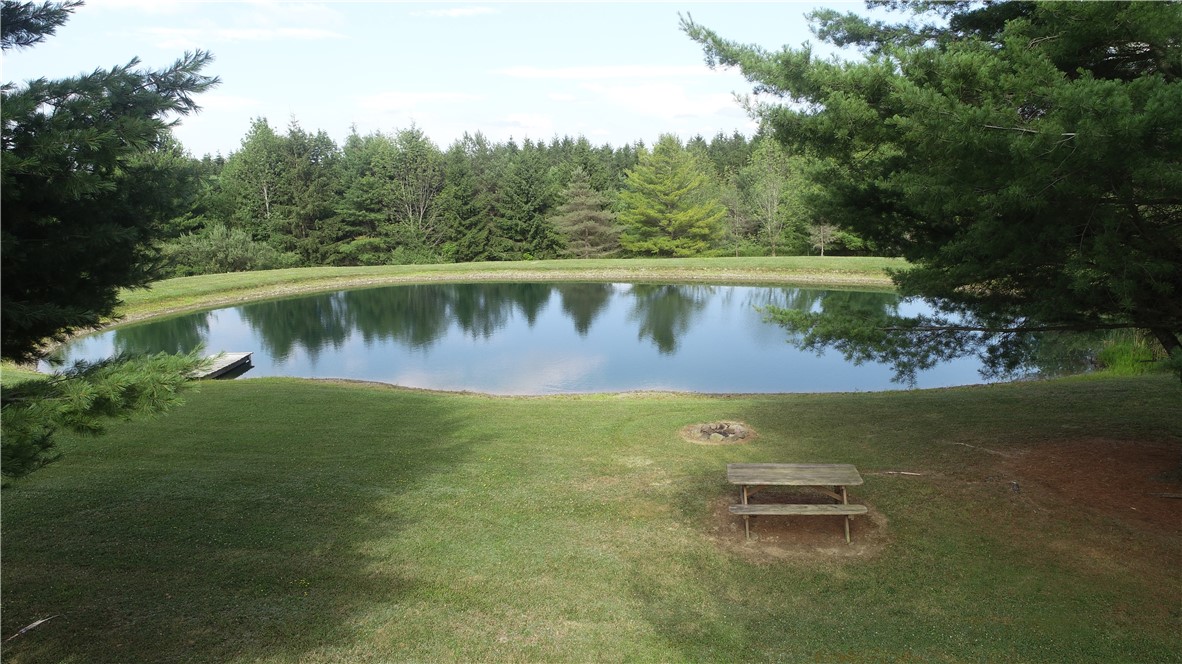 6618 Fisher Road Prattsburgh, NY 14873 - Photo 24 of 50