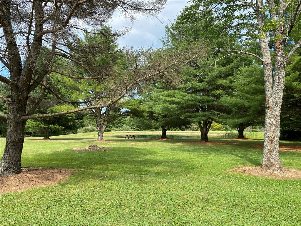 6618 Fisher Road Prattsburgh, NY 14873 - Photo 28 of 50