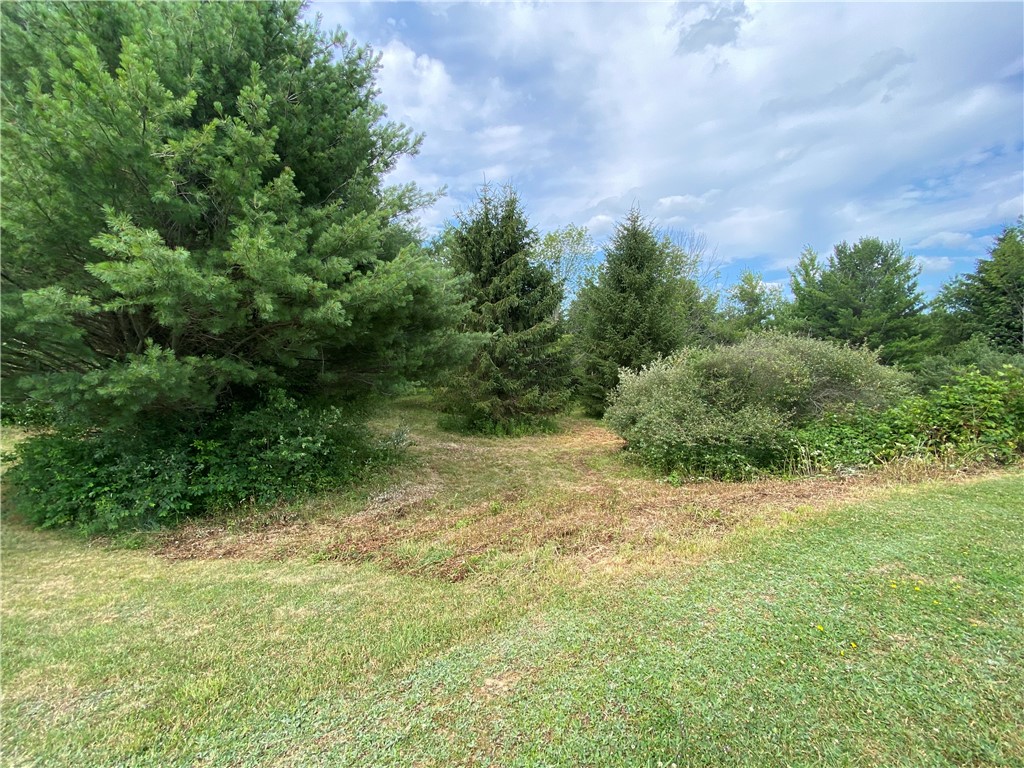 6618 Fisher Road Prattsburgh, NY 14873 - Photo 29 of 50