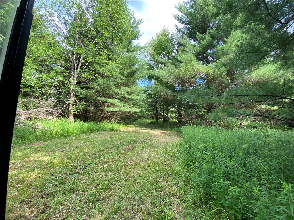 6618 Fisher Road Prattsburgh, NY 14873 - Photo 30 of 50