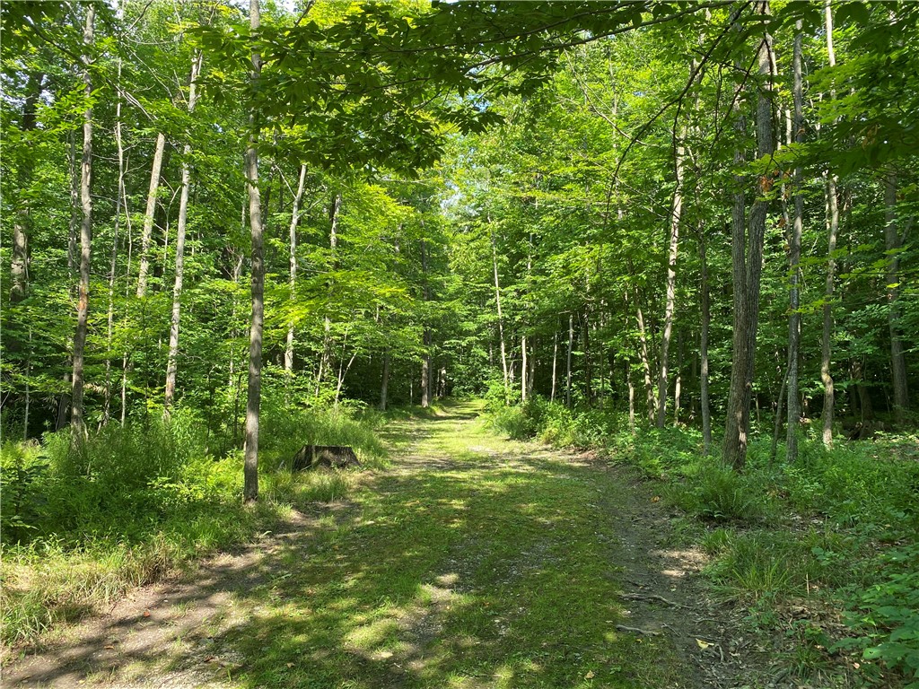 6618 Fisher Road Prattsburgh, NY 14873 - Photo 32 of 50