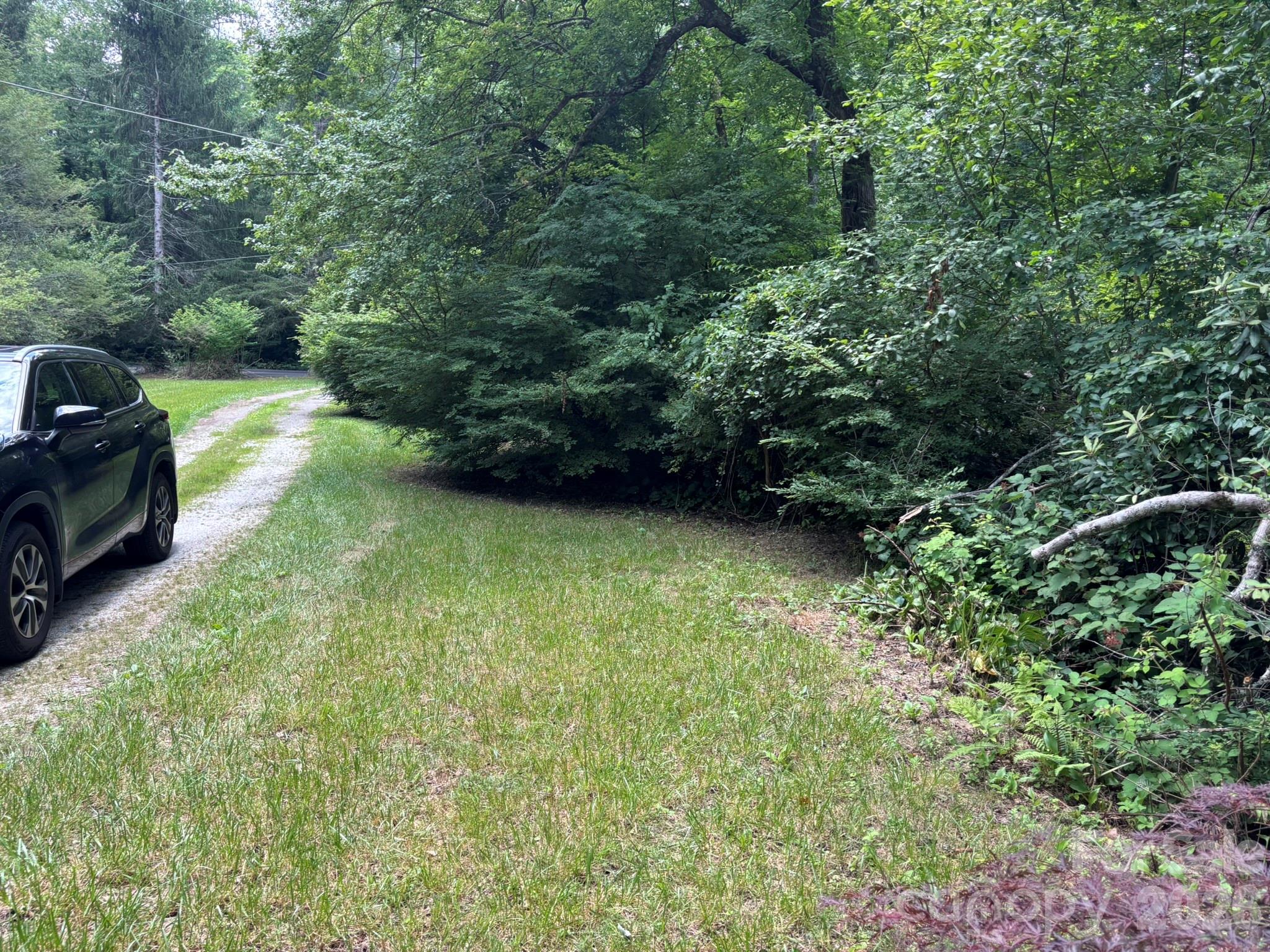 547 Avery Creek Road Arden, NC 28704 - Photo 13 of 15