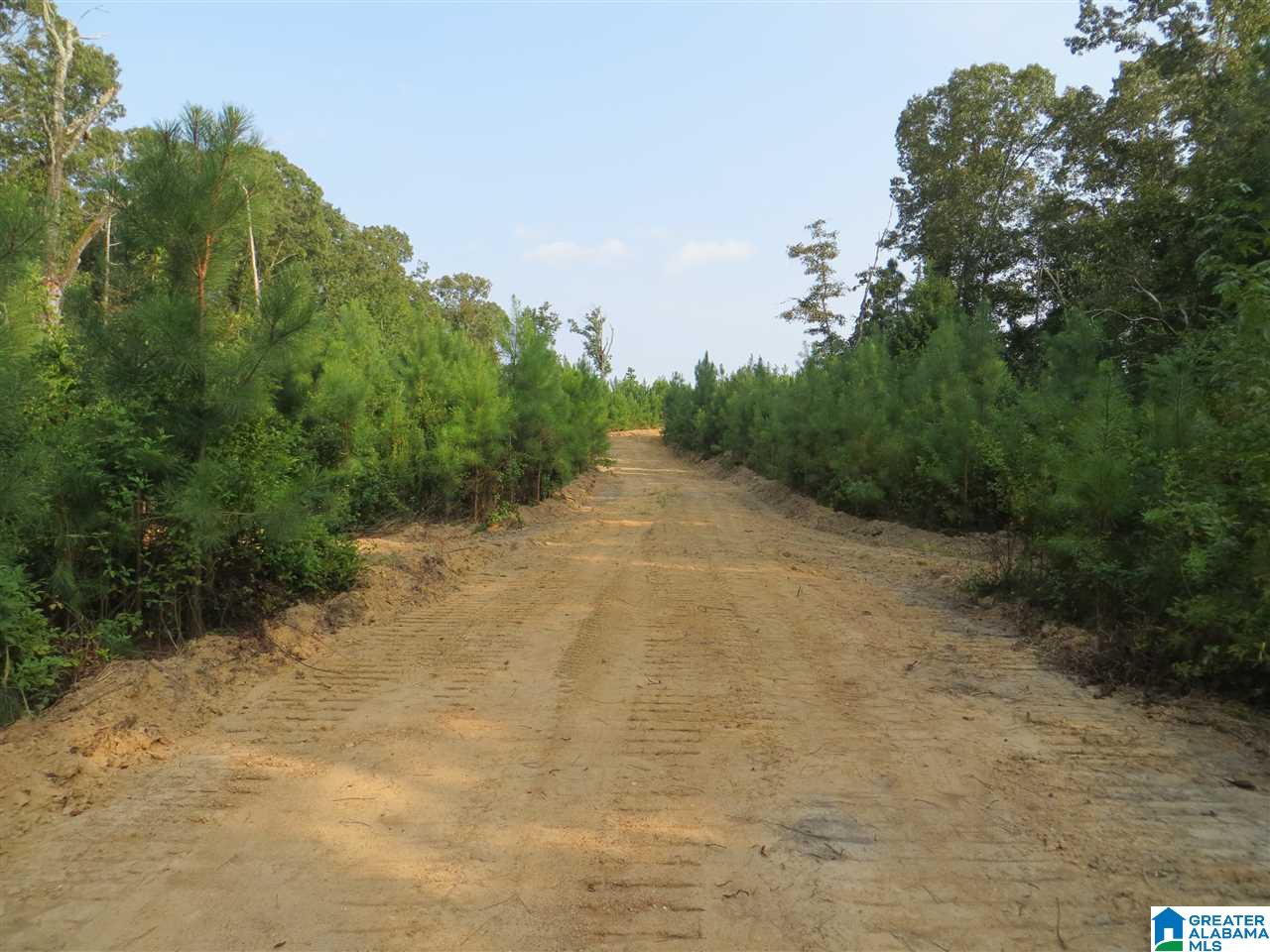 Eureka Road, Unit 1 Lincoln, AL 35096 - Photo 34 of 34