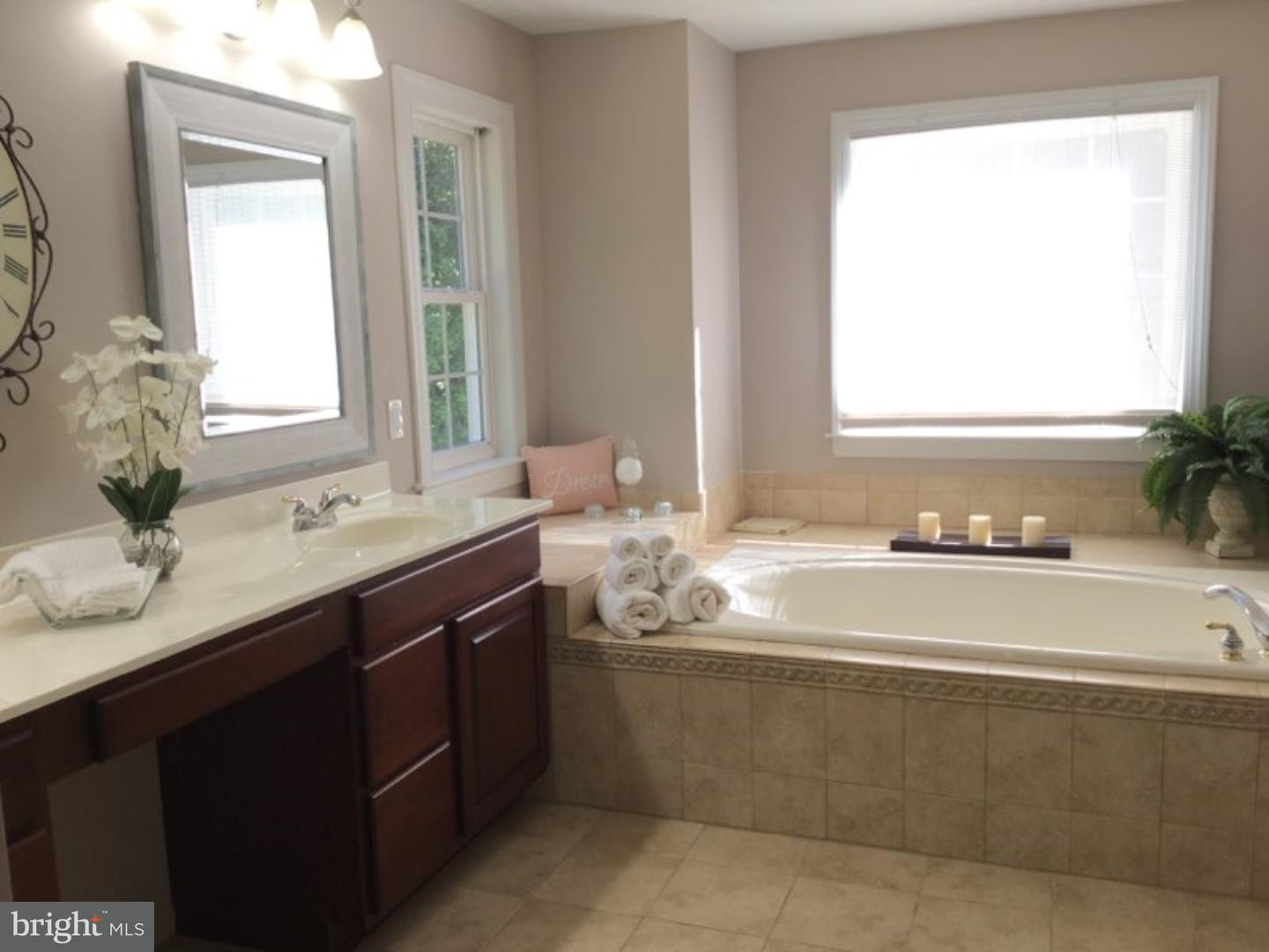 3854 Springtown Road Furlong, PA 18925 - Photo 16 of 25 Master Bathroom