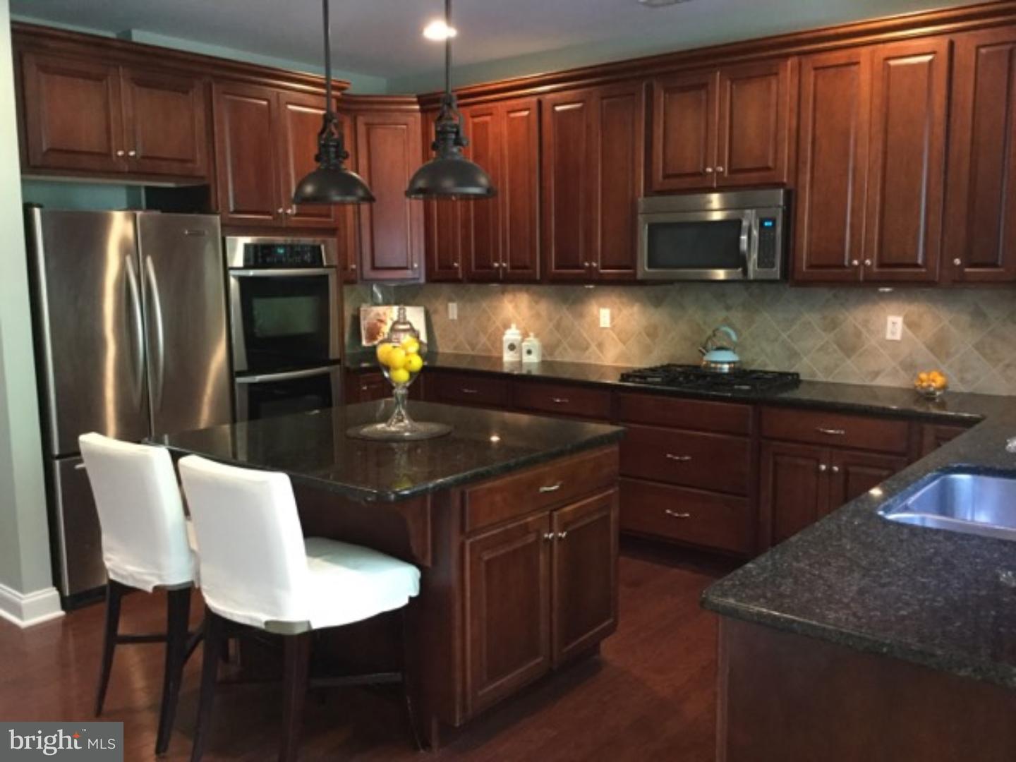 3854 Springtown Road Furlong, PA 18925 - Photo 5 of 25 Kitchen