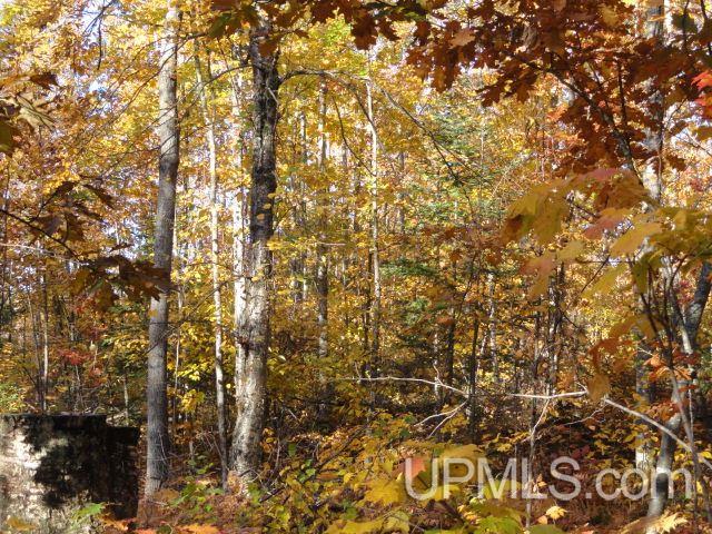 Tbd Tbd Off Townline Road Lanse, MI 49946 - Photo 15 of 18