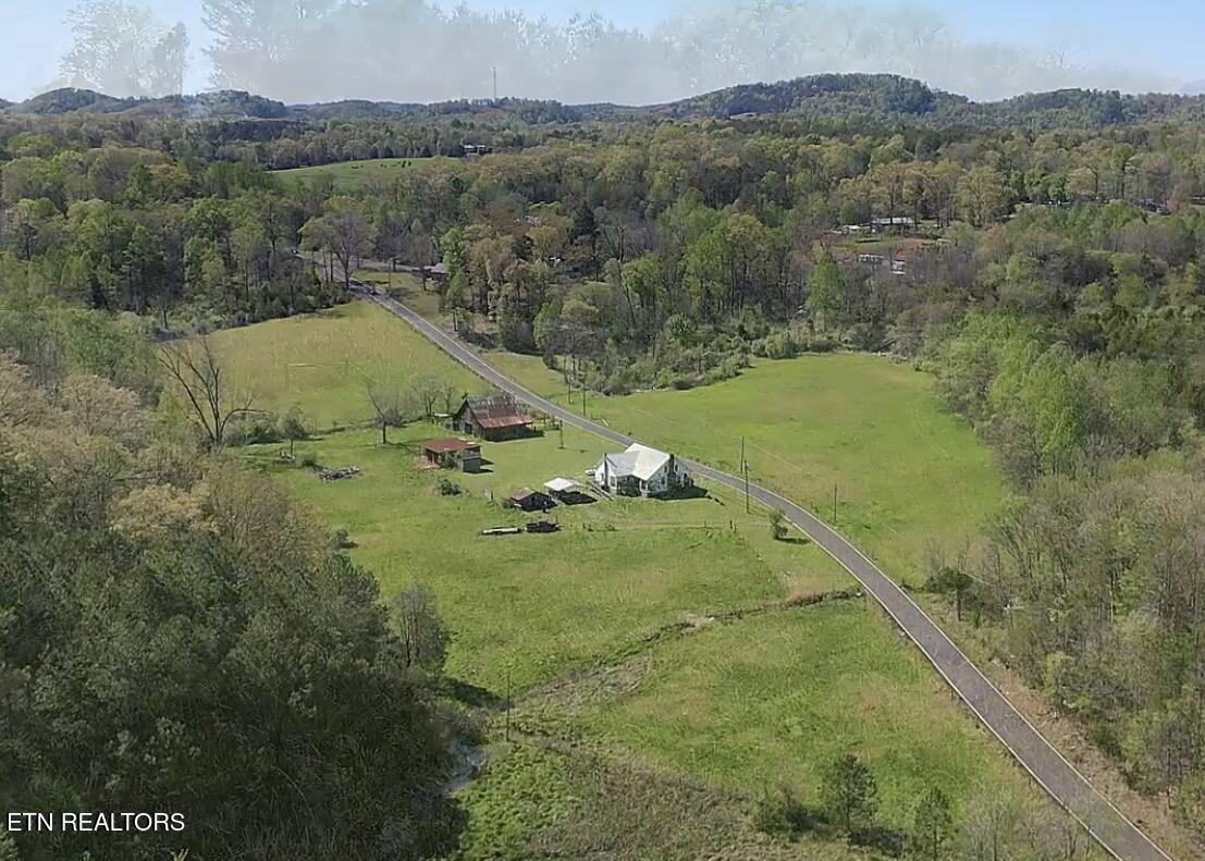 285 New Providence Road Tellico Plains, TN 37385 - Photo 3 of 45 Gallery Image 3