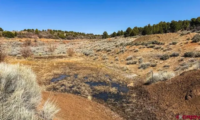 a view of a lake with a beach