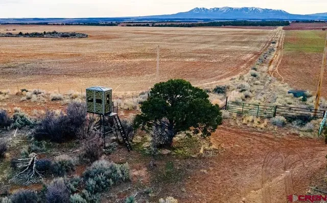 a view of an ocean beach