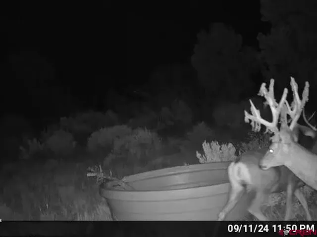 $1,671,800 | 11206 Hwy 141, Egnar, CO 81325