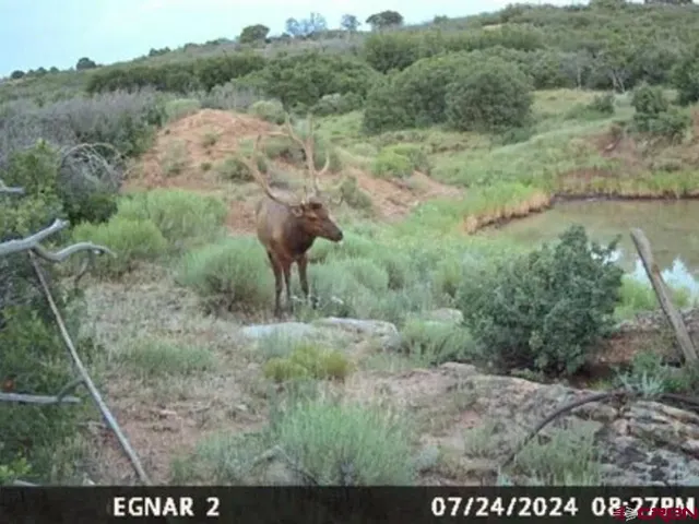 $1,671,800 | 11206 Hwy 141, Egnar, CO 81325