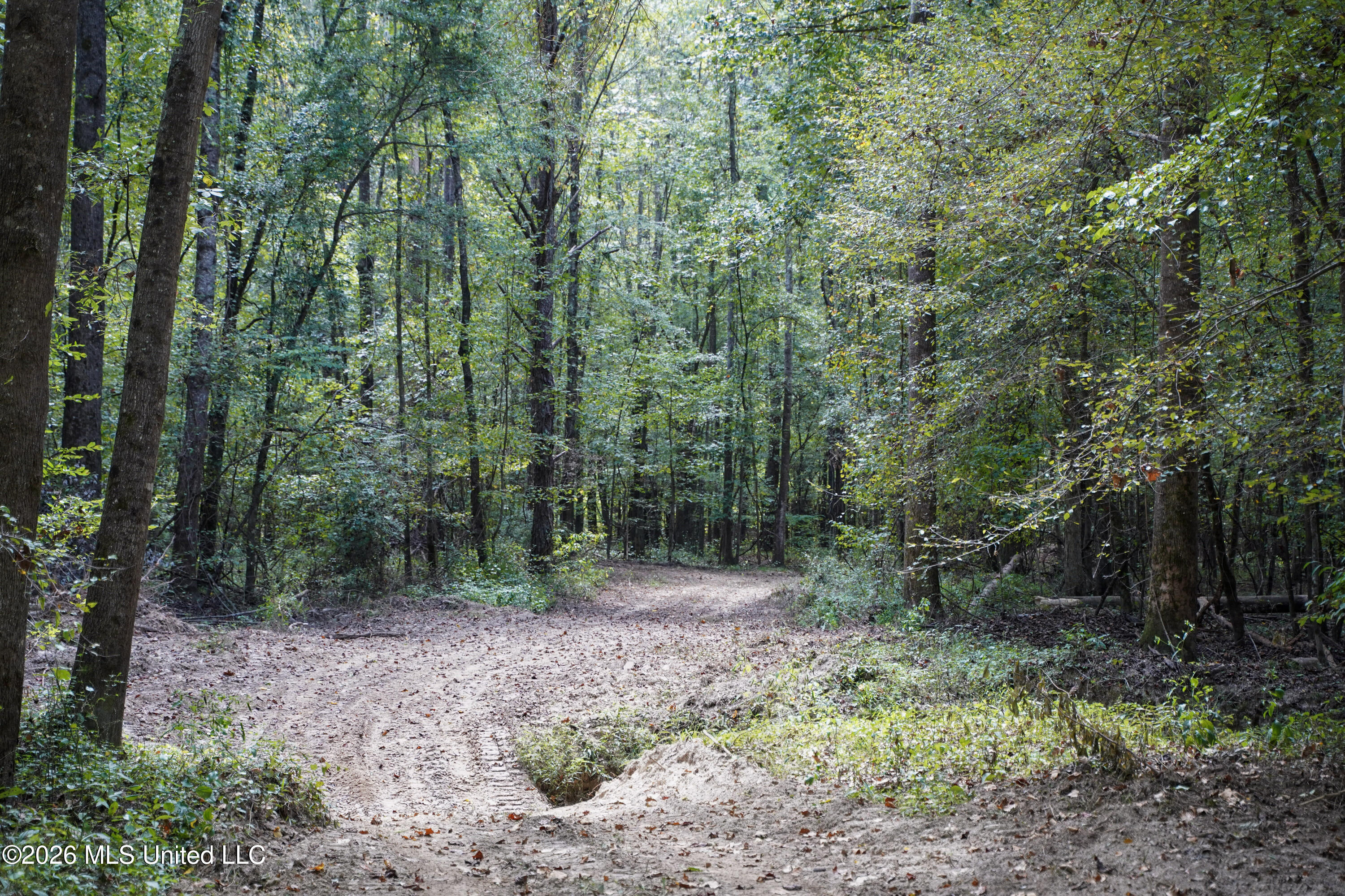 Shiloh Road Brandon, MS 39042 - Photo 22 of 127 25-DSC08617