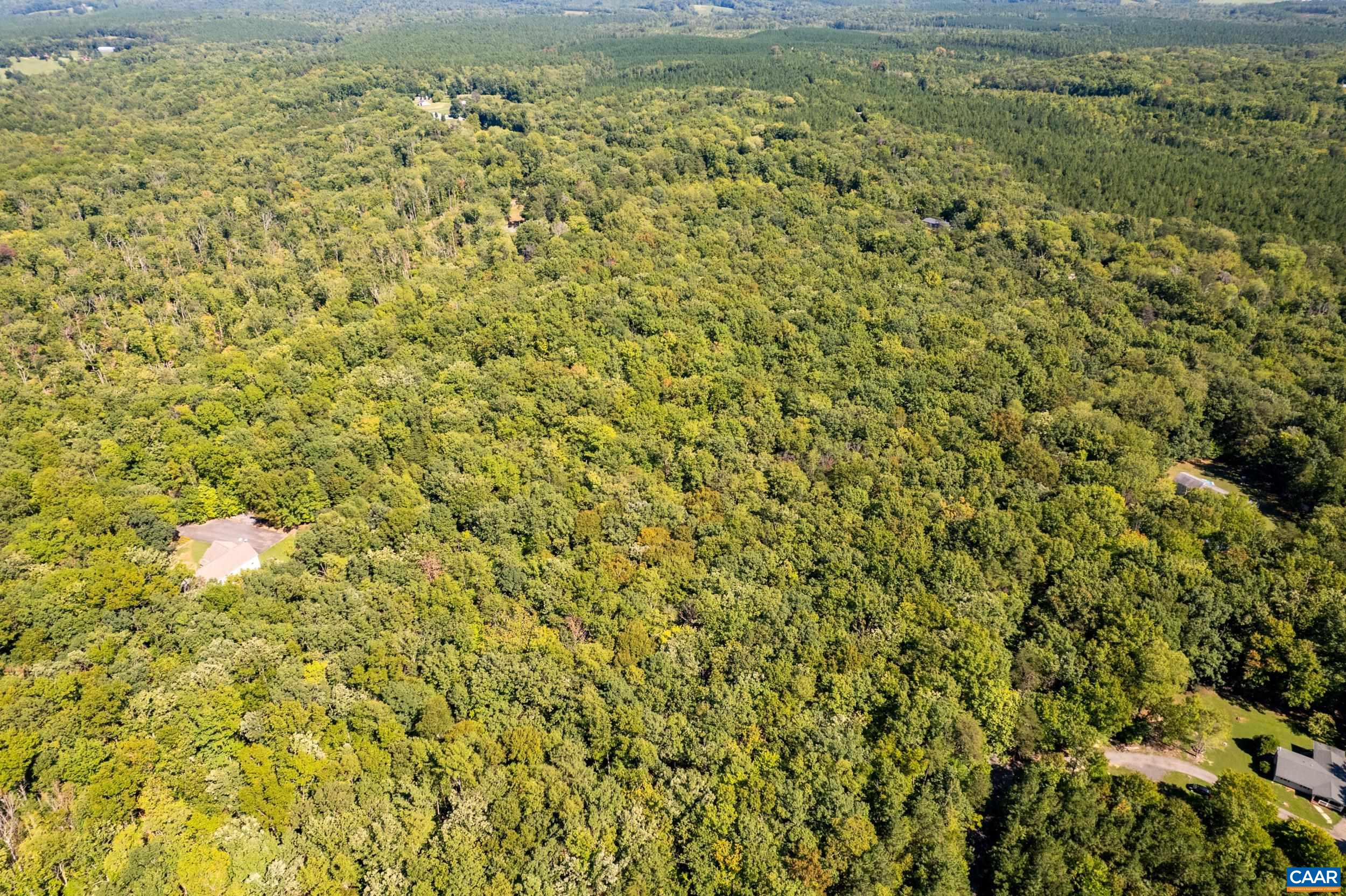 0 Chestnut Grove Road Esmont, VA 22937 - Photo 13 of 36 Gallery Image 13