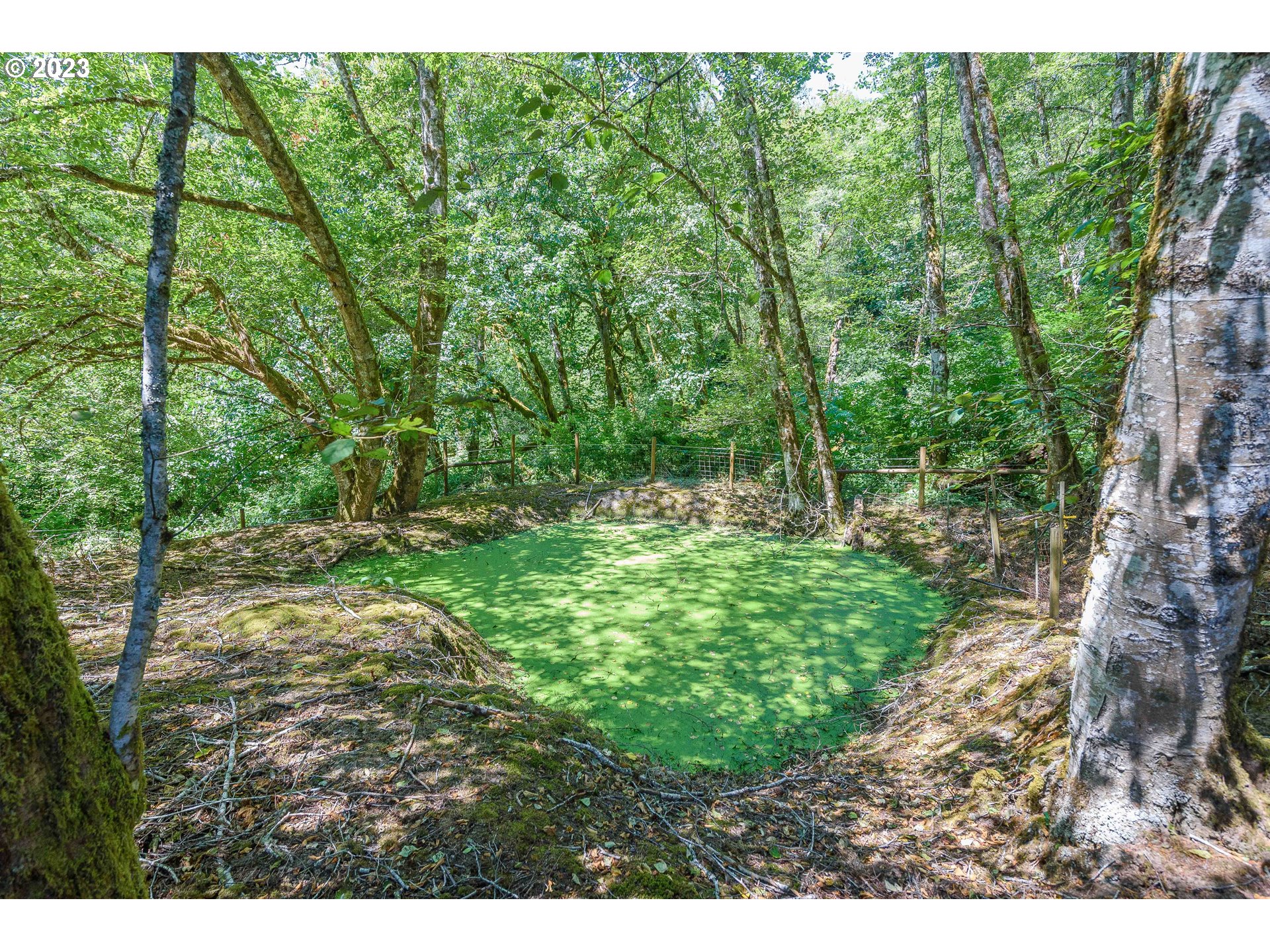 55782 Fairview Road Coquille, OR 97423 - Photo 43 of 47 Pond