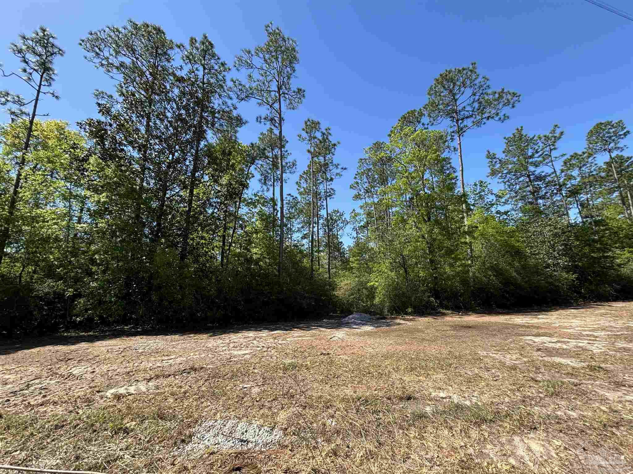 10335 Chumuckla Springs Road Jay, FL 32565 - Photo 4 of 8 Gallery Image 4