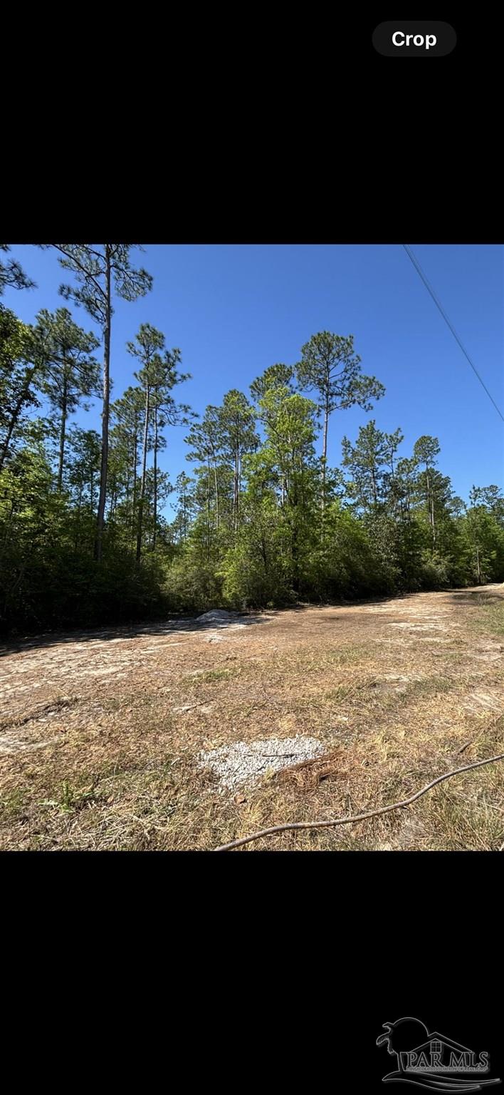 10335 Chumuckla Springs Road Jay, FL 32565 - Photo 5 of 8 Gallery Image 5
