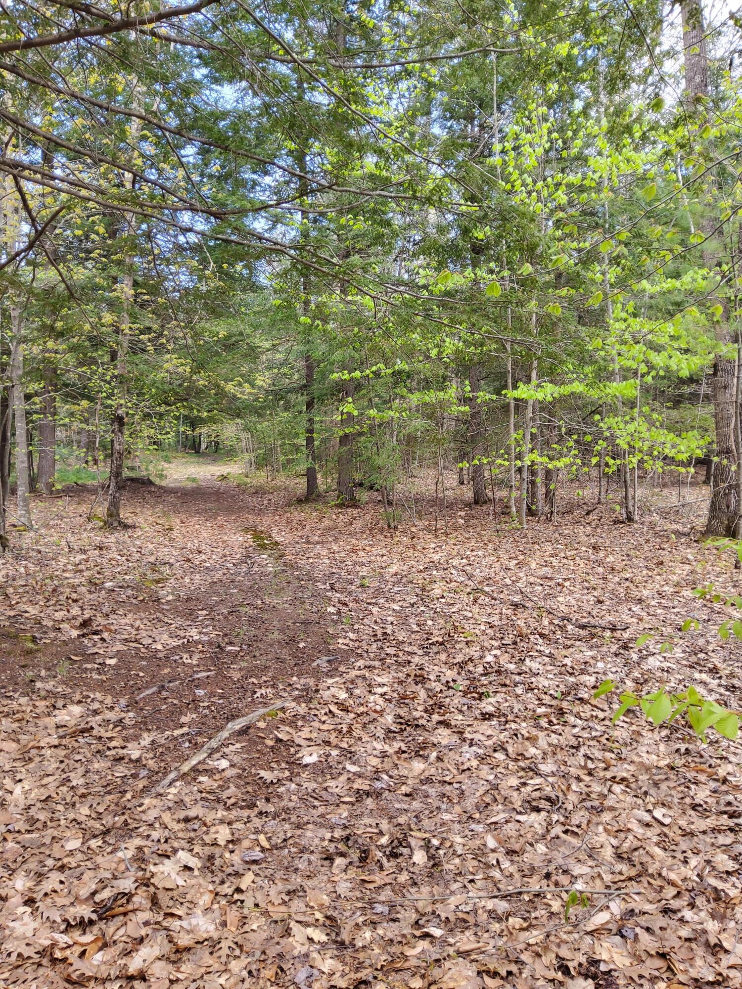 1729 Federal Road Livermore, ME 04253 - Photo 21 of 29 20240514_153525