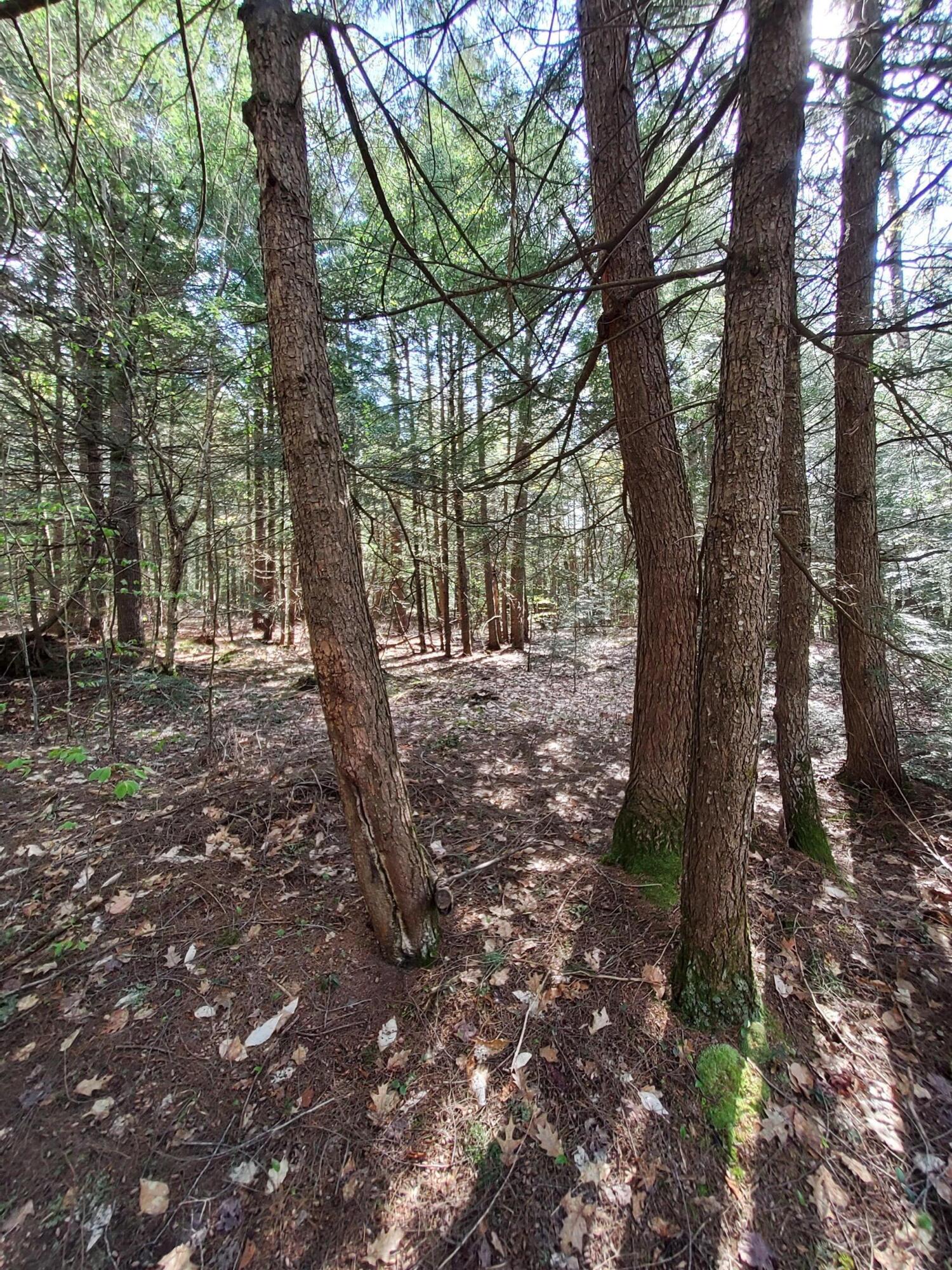 1729 Federal Road Livermore, ME 04253 - Photo 26 of 29 20240514_153907