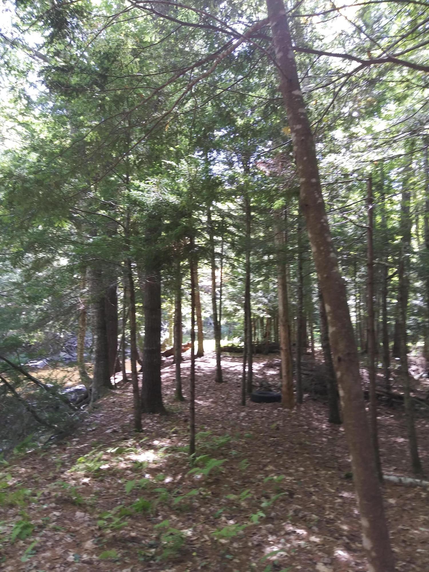0 Washington Road Jefferson, ME 04348 - Photo 4 of 9 20190915_123950