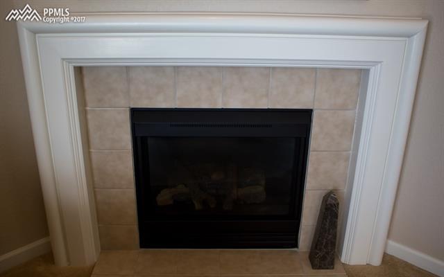 1067 Kara Ridge Point Colorado Springs, CO 80907 - Photo 6 of 21