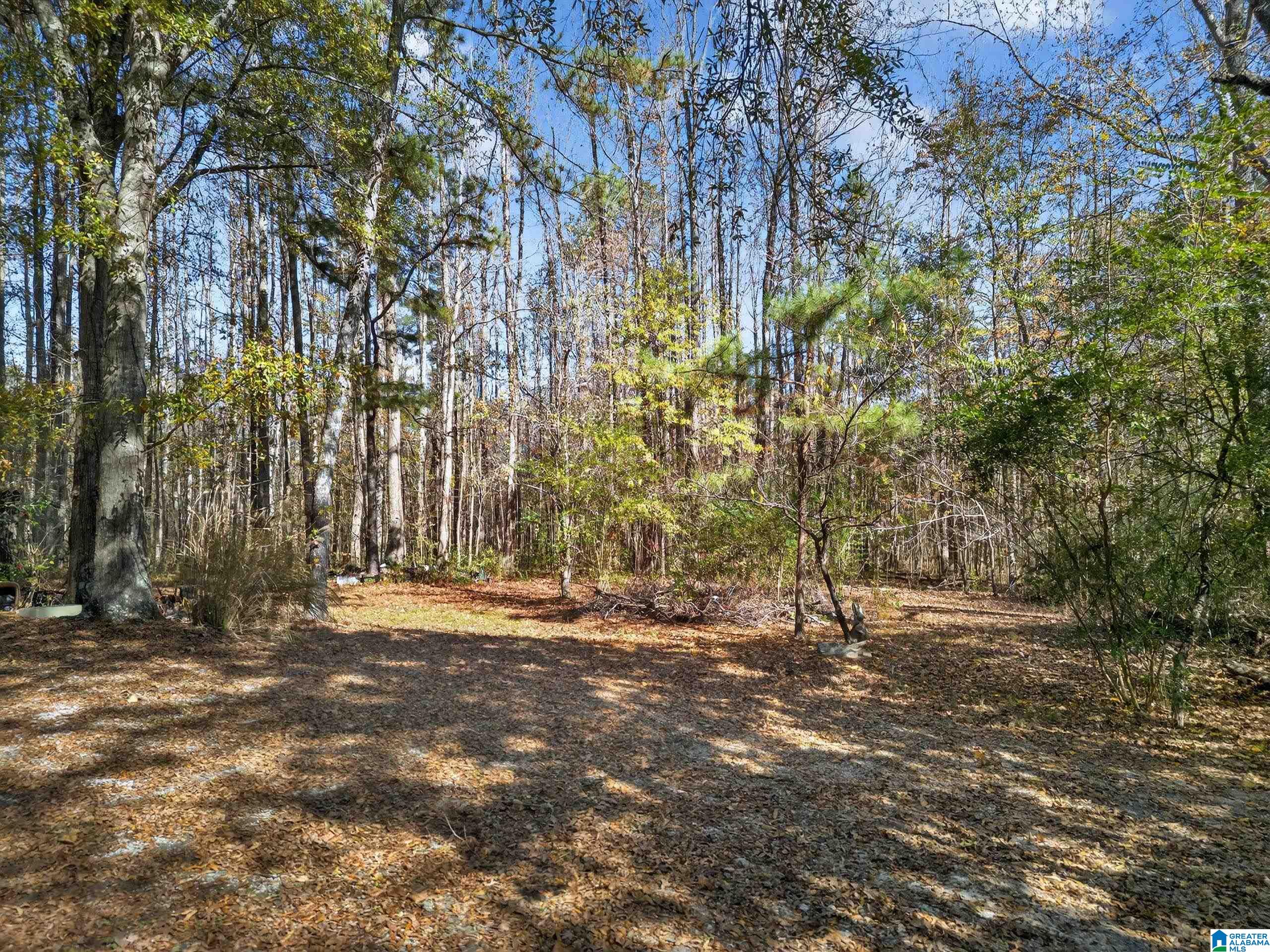 206 Pruitt Road Piedmont, AL 36272 - Photo 20 of 28