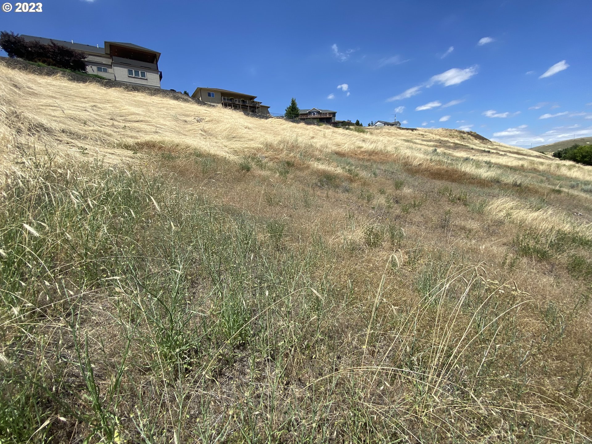 2249 Northwest Furnish Avenue Pendleton, OR 97801 - Photo 1 of 5 a view of empty room and trees