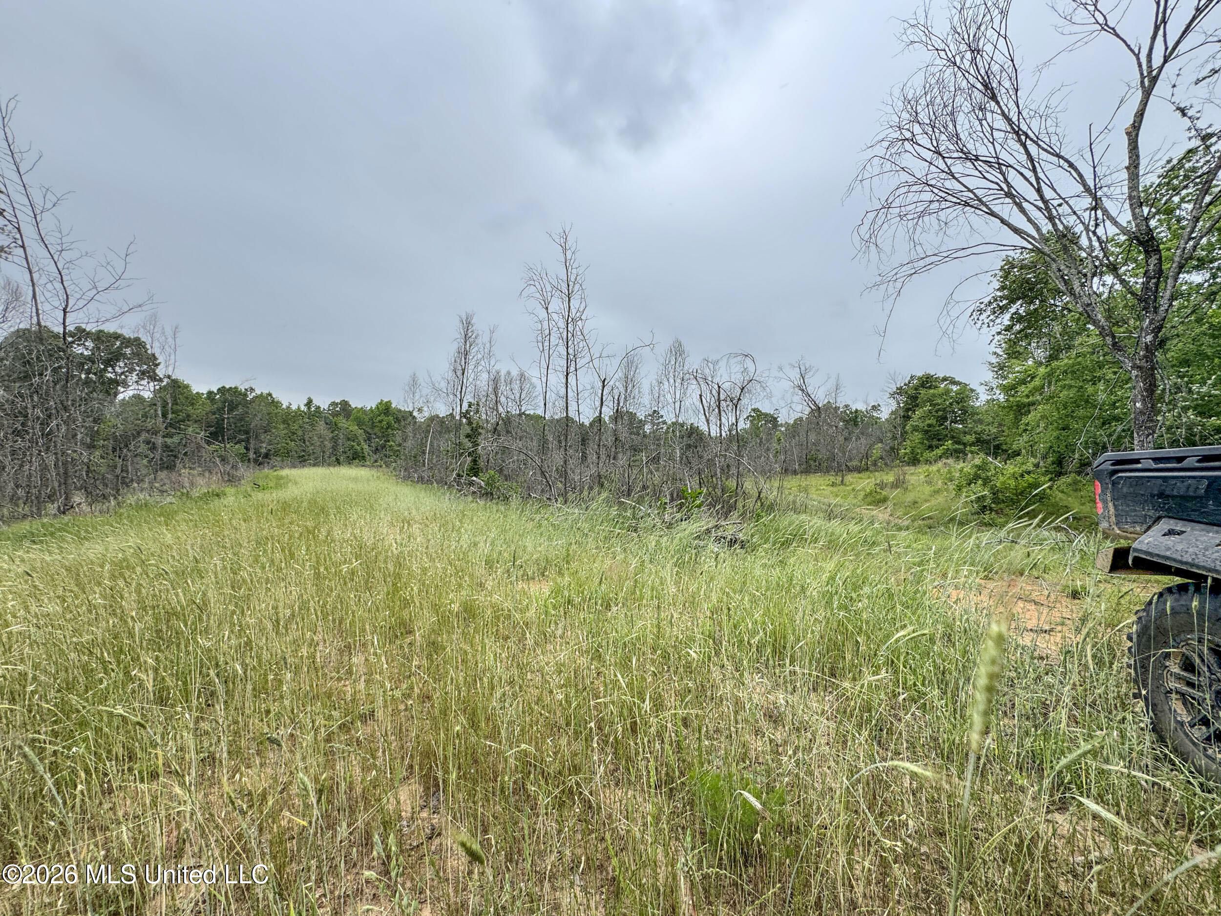 Wayne Massie Road Como, MS 38619 - Photo 180 of 184 5cdtbs130