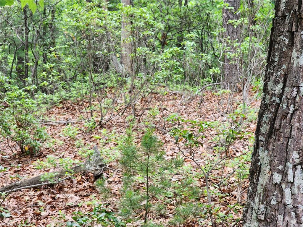 Tbd Sampson Road Lenoir, NC 28645 - Photo 1 of 3 Gallery Image 1