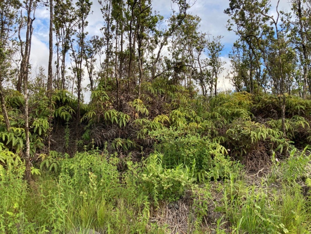 78 Ohialani Road Mountain View, HI 96771 - Photo 3 of 4