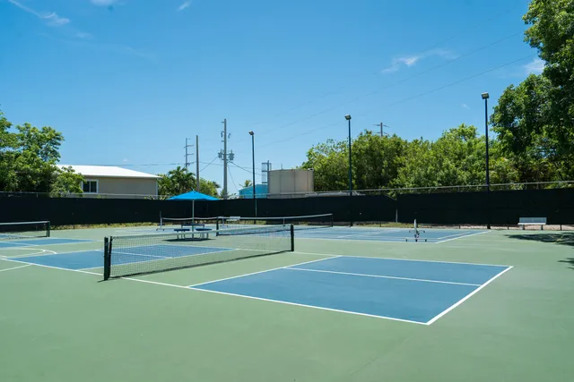 a view of a plant in a garden