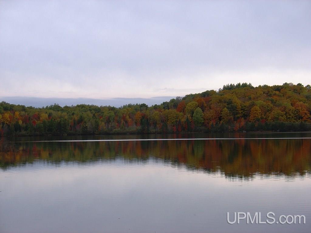 Off East Hawk Lake Road, Unit 3 Marenisco, MI 49947 - Photo 5 of 18