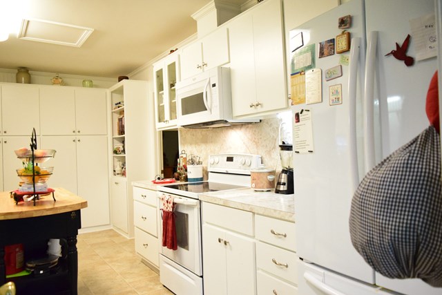 6306 Cartledge Road Box Springs, GA 31801 - Photo 13 of 34 Gallery Image 13