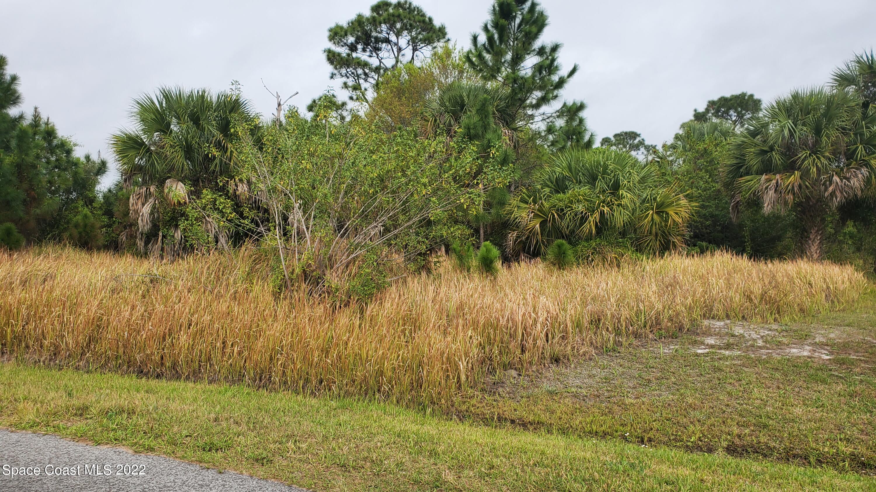 471 Oakmon Road Southwest Palm Bay, FL 32908 - Photo 1 of 6 20220310_095259