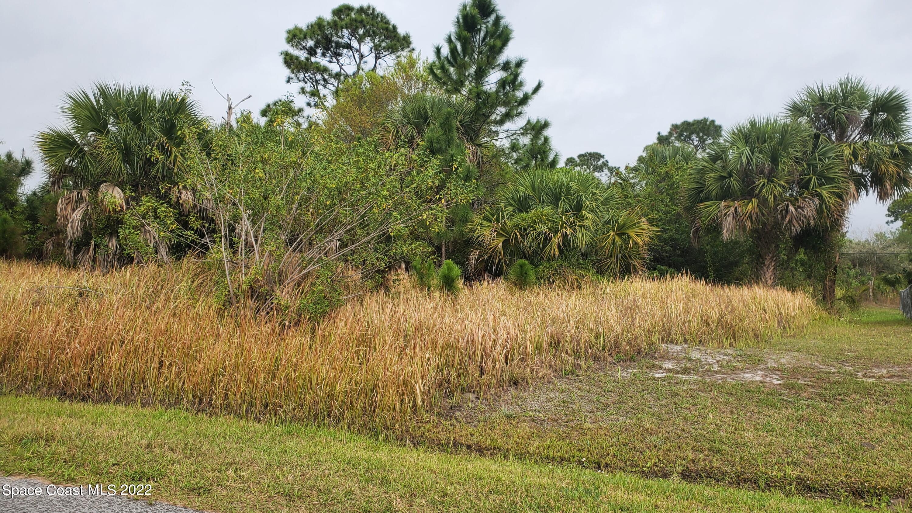 471 Oakmon Road Southwest Palm Bay, FL 32908 - Photo 2 of 6 20220310_095305