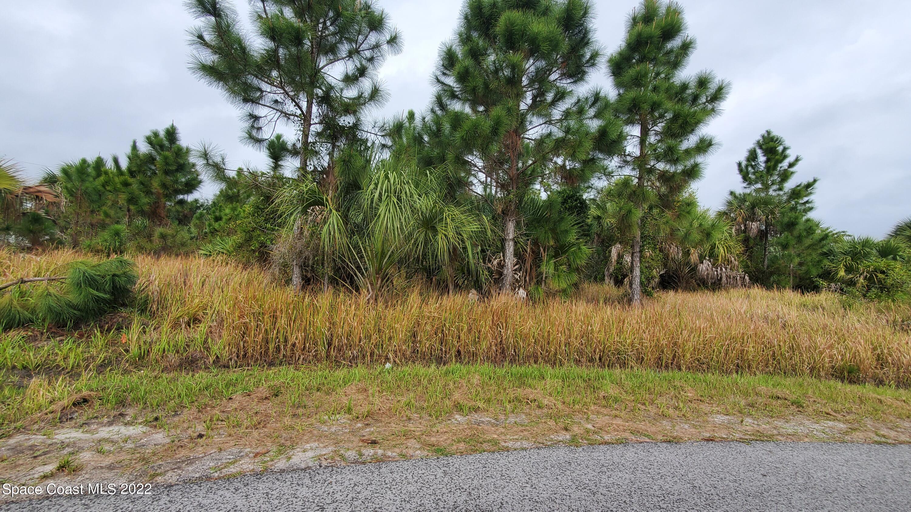471 Oakmon Road Southwest Palm Bay, FL 32908 - Photo 3 of 6 20220310_095217