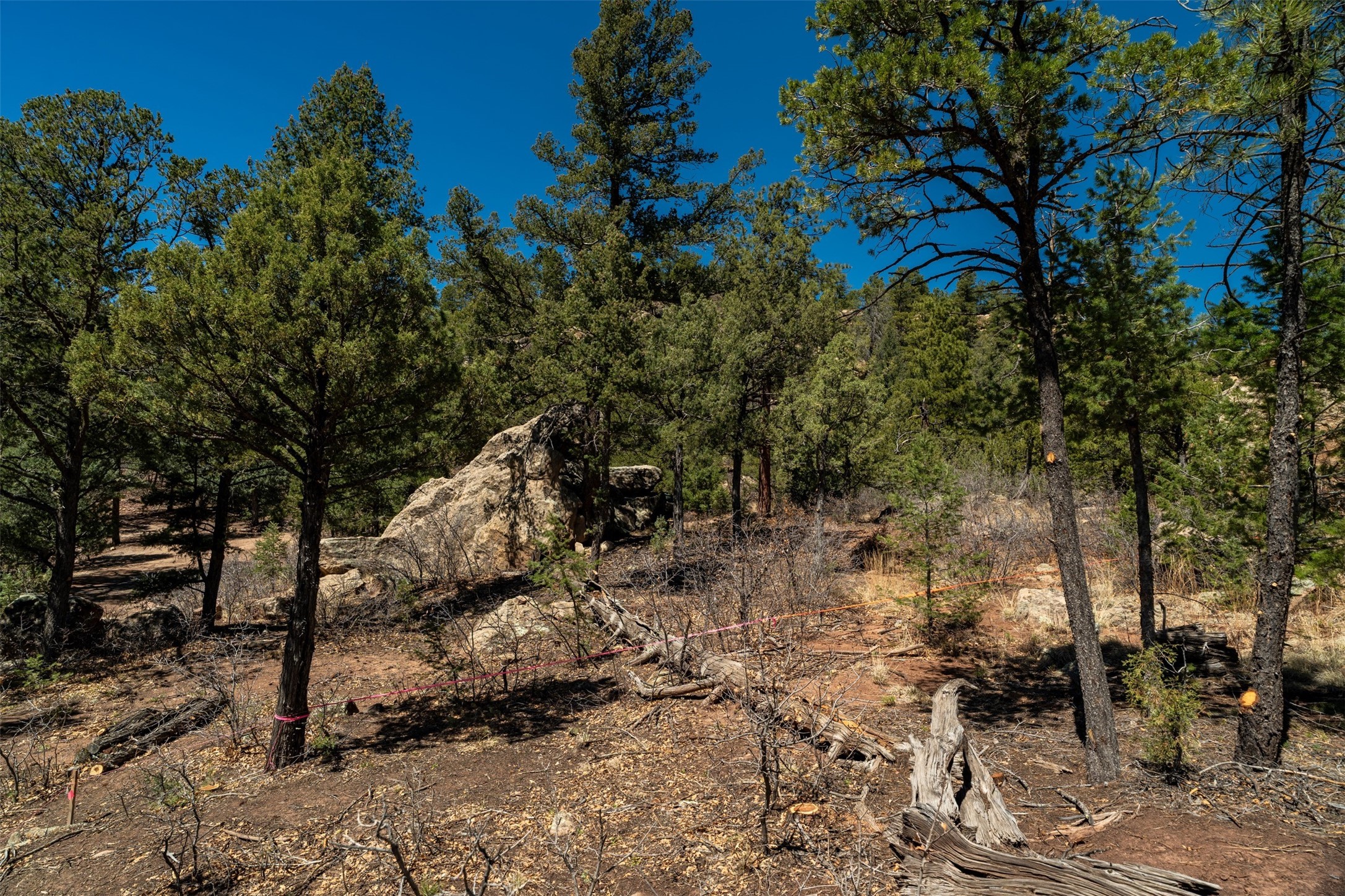 30 Monte La Cueva Road Glorieta, NM 87535 - Photo 52 of 91