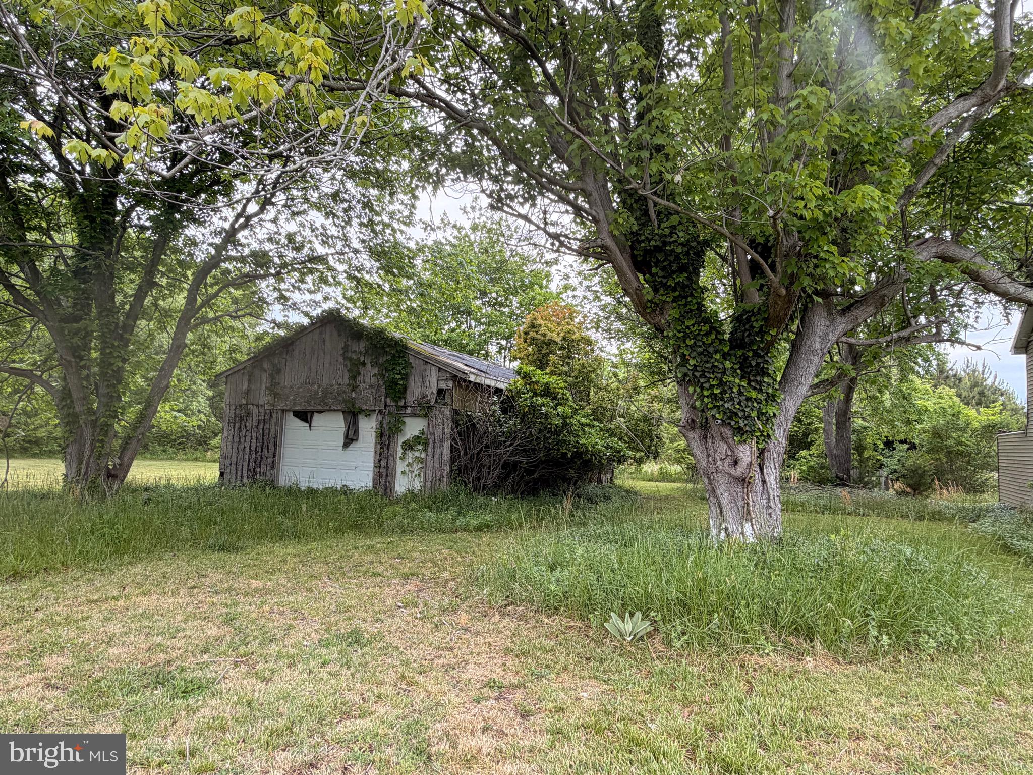 23686 Earl Webster Road Chance, MD 21821 - Photo 5 of 14 a tall house with a tree in the grass