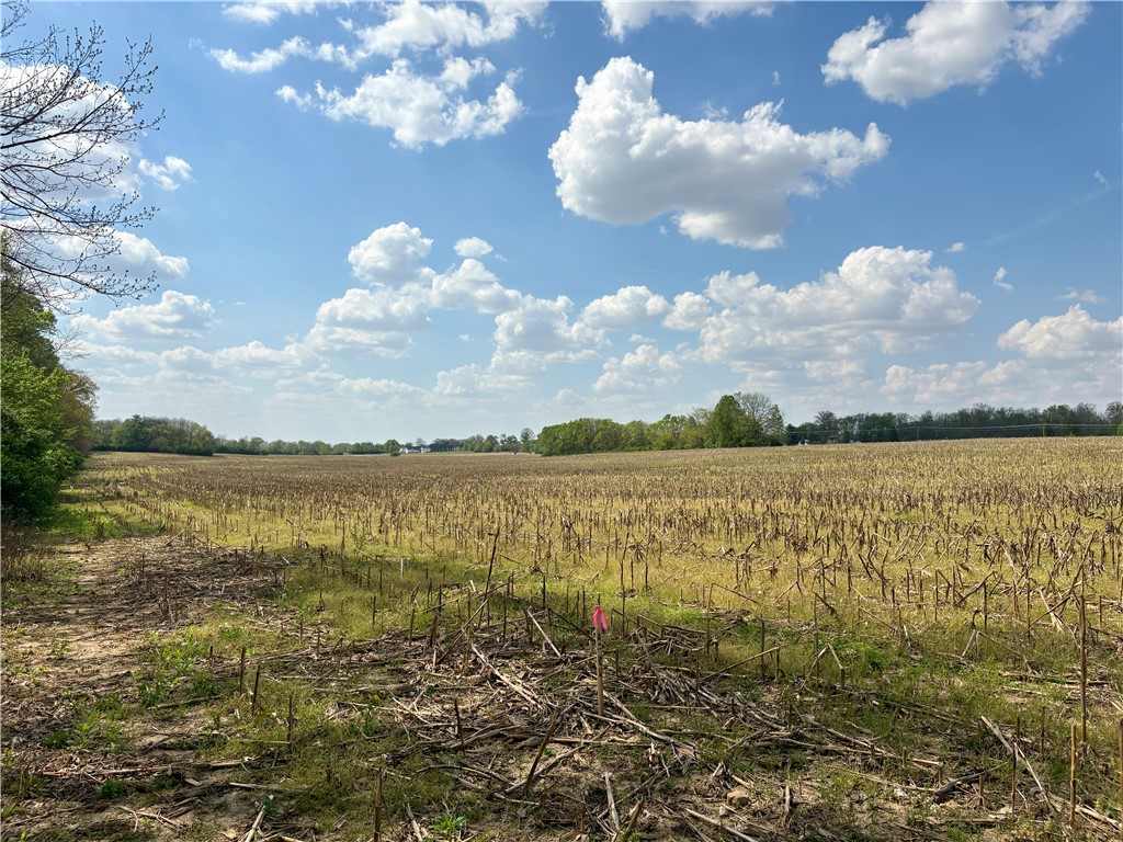 Lot 2 Tipp Elizabeth Road New Carlisle, OH 45344 - Photo 8 of 14