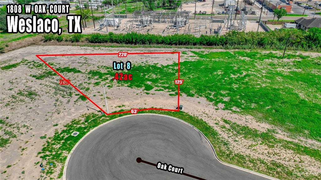 a view of a garden with a pathway