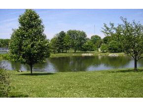 3620 East Robin Road Bloomington, IN 47401 - Photo 5 of 6
