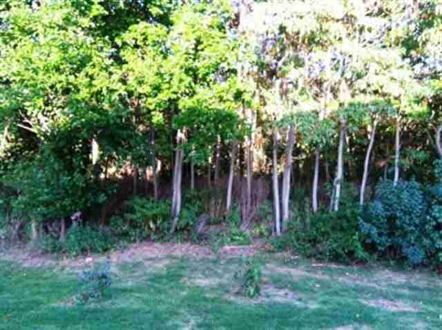 29263 Raintree Court Elkhart, IN 46517 - Photo 6 of 20 Gallery Image 6