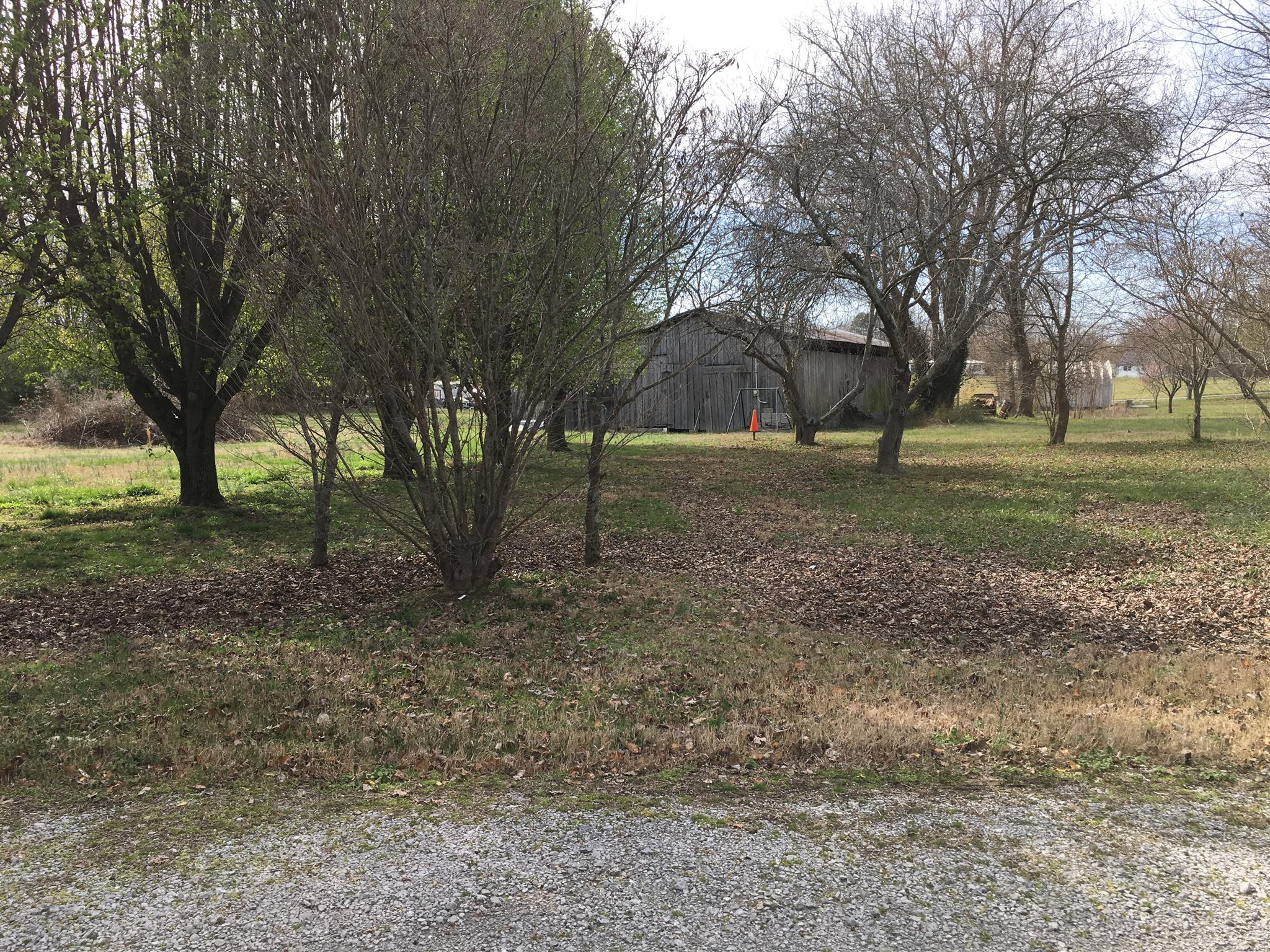133 King Ridge Road Dowelltown, TN 37059 - Photo 3 of 21 Gallery Image 3